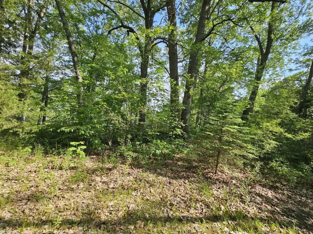Picture 23