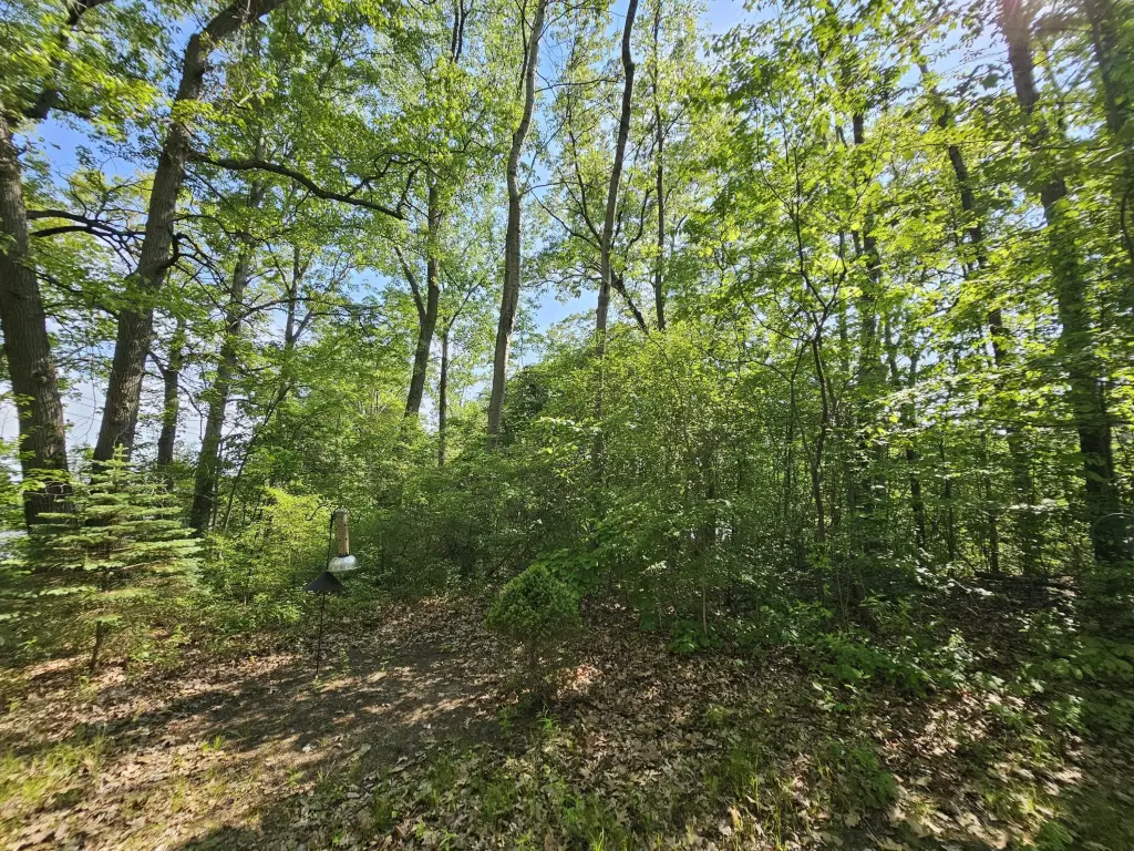 Picture 10