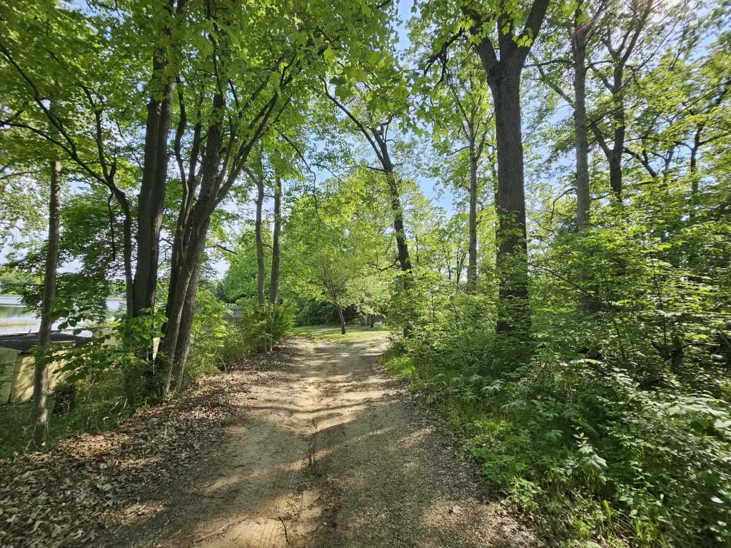 Picture 26