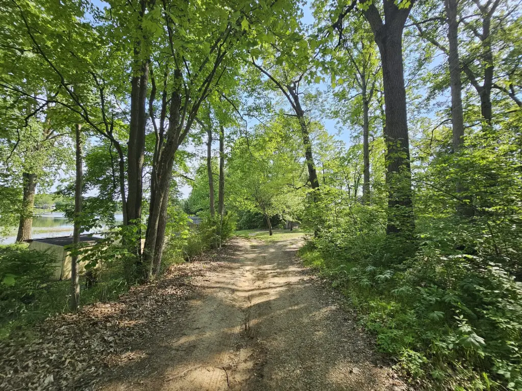 Picture 25