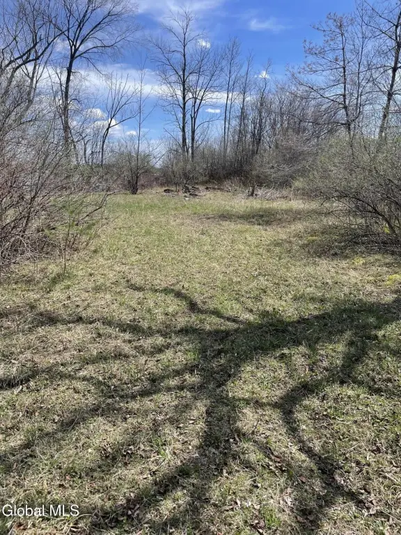 Picture 11
