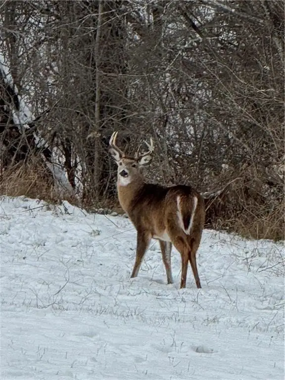 Picture 38