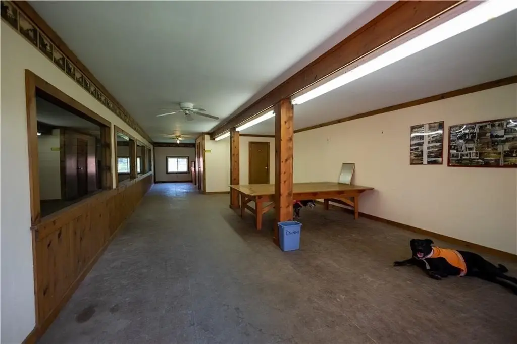 Picture 25