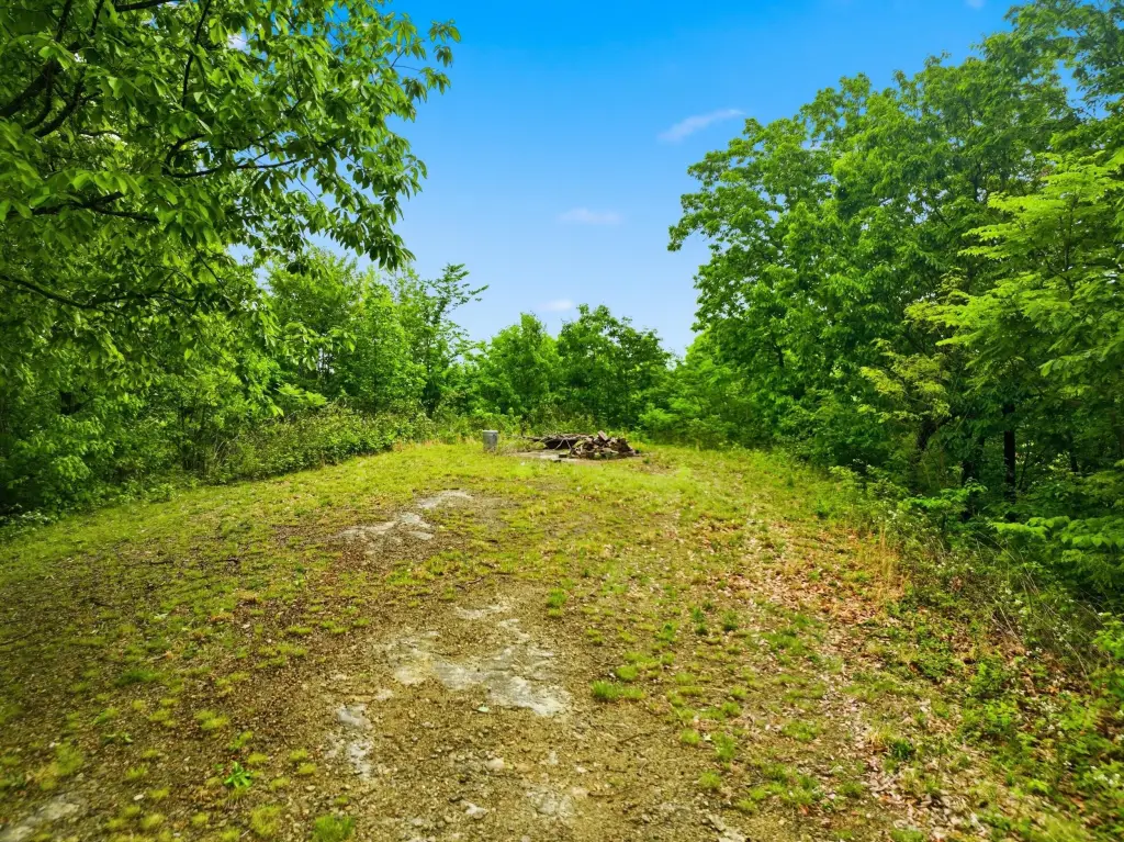 Picture 9