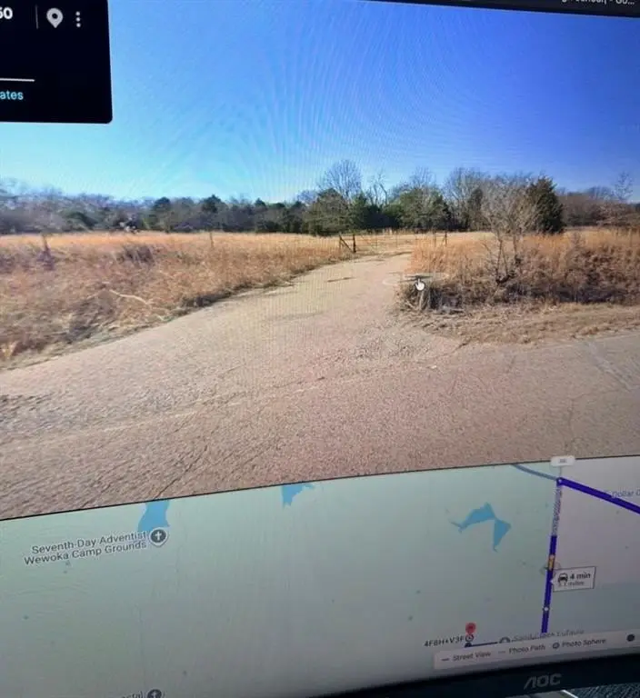 Picture 8