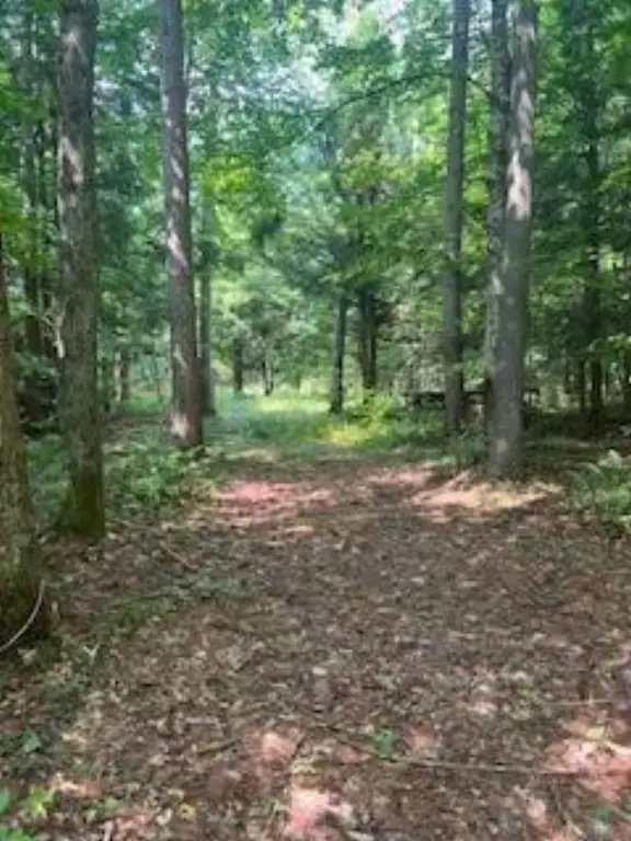 Picture 6