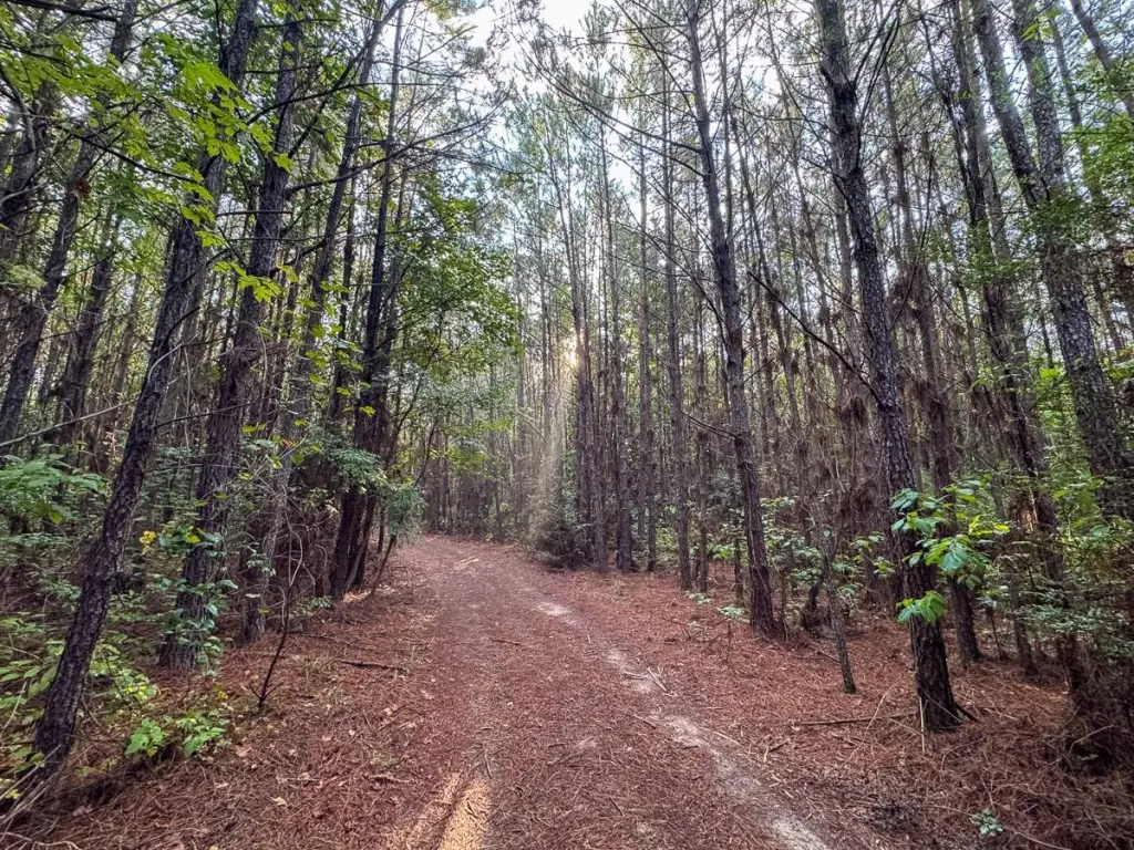 Picture 12