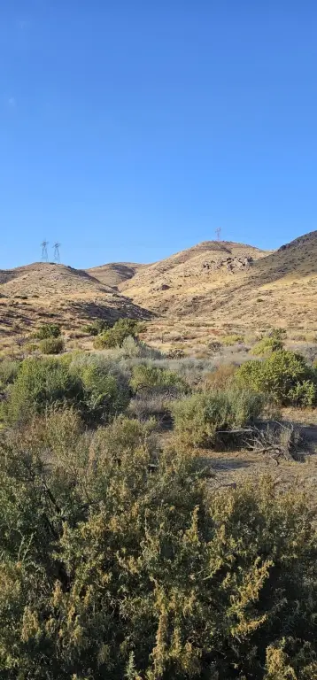 Picture 4
