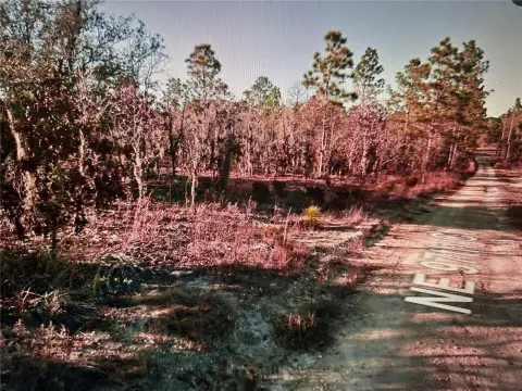 Vacant Land in East Bronson