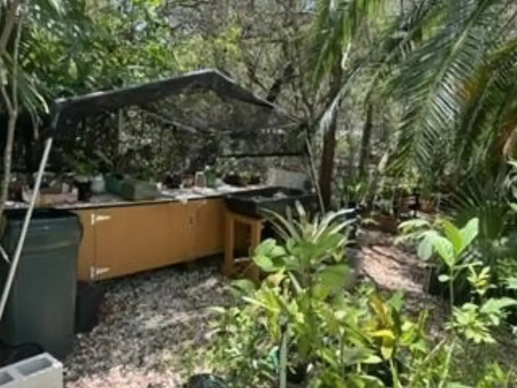 Picture 19