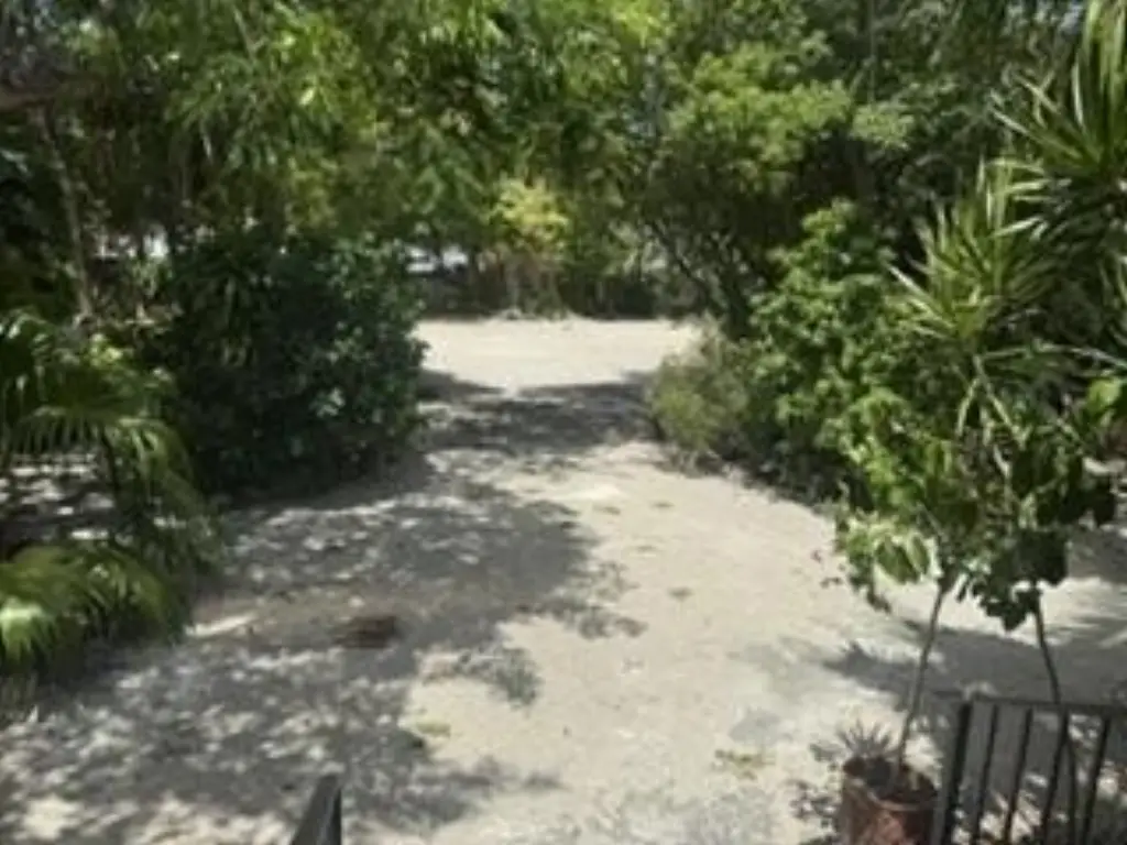 Picture 17