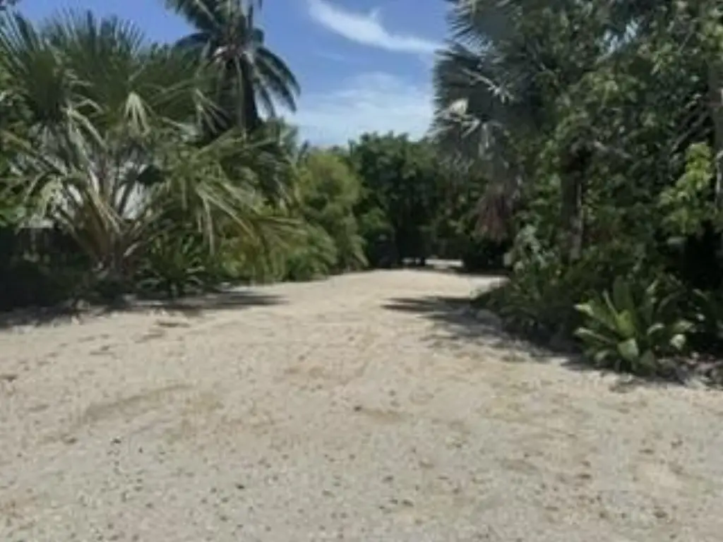 Picture 18