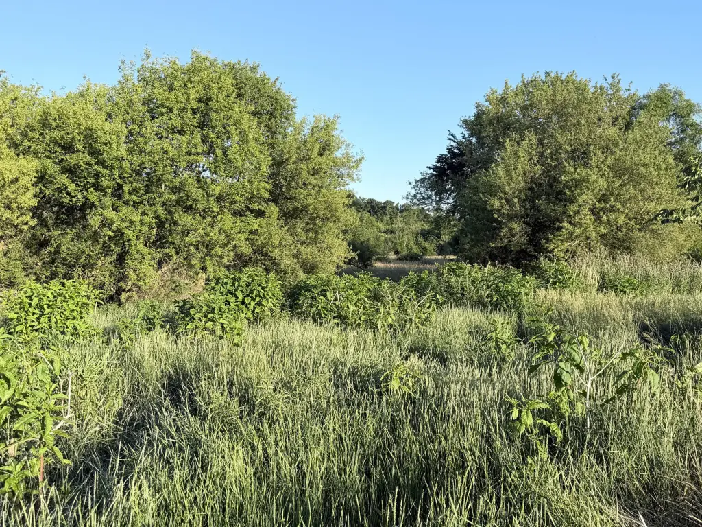 Picture 24