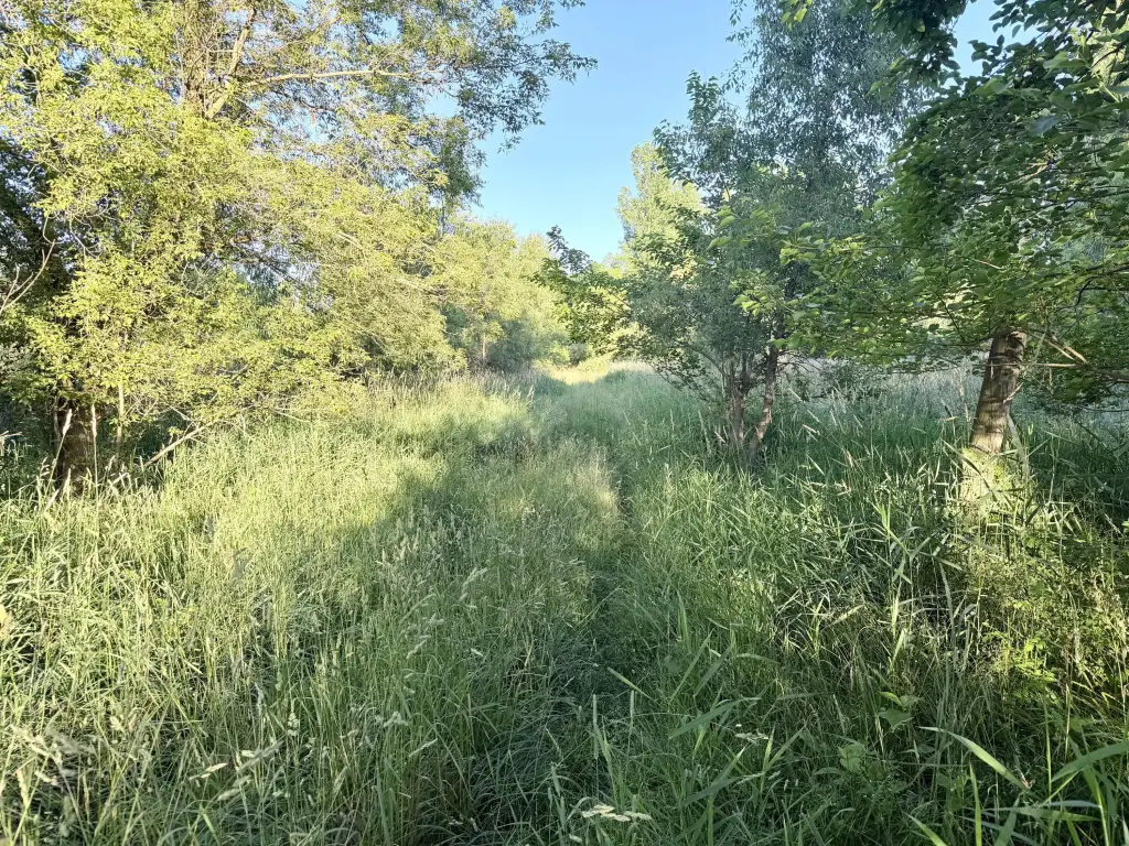 Picture 20