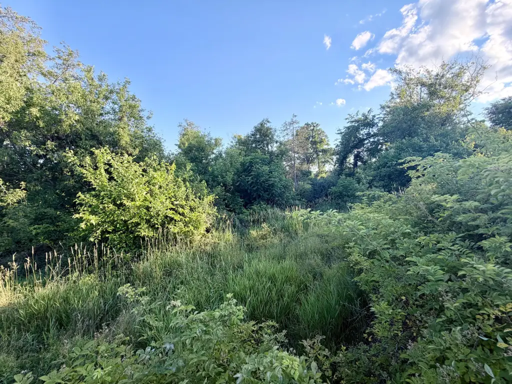 Picture 29