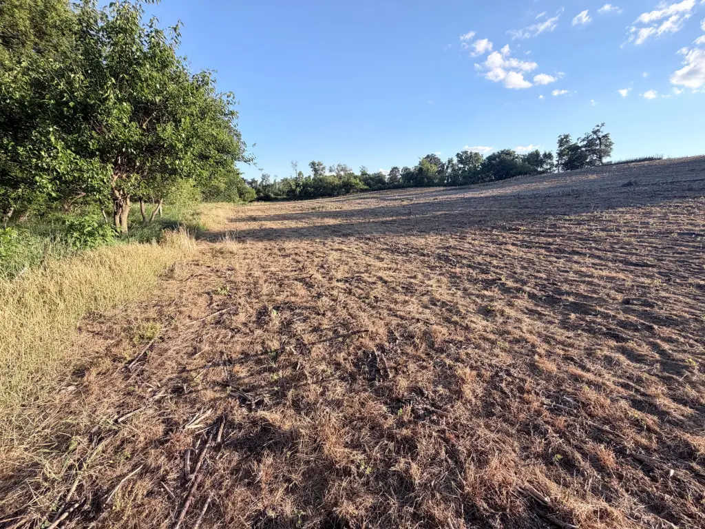 Picture 27