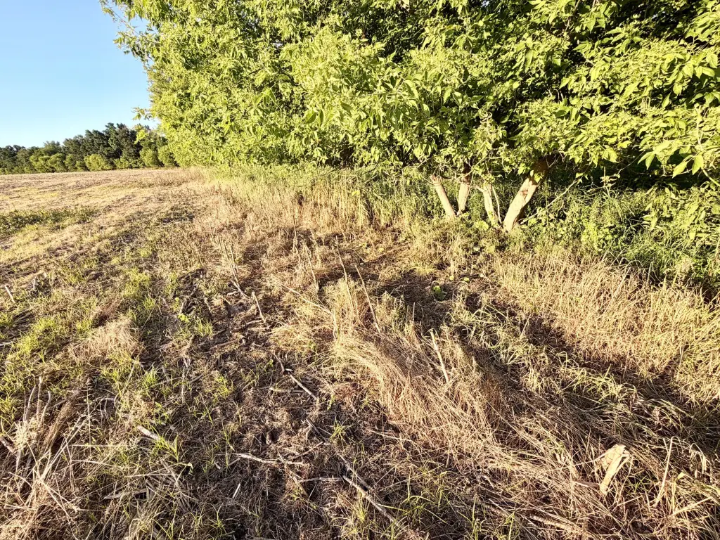 Picture 59