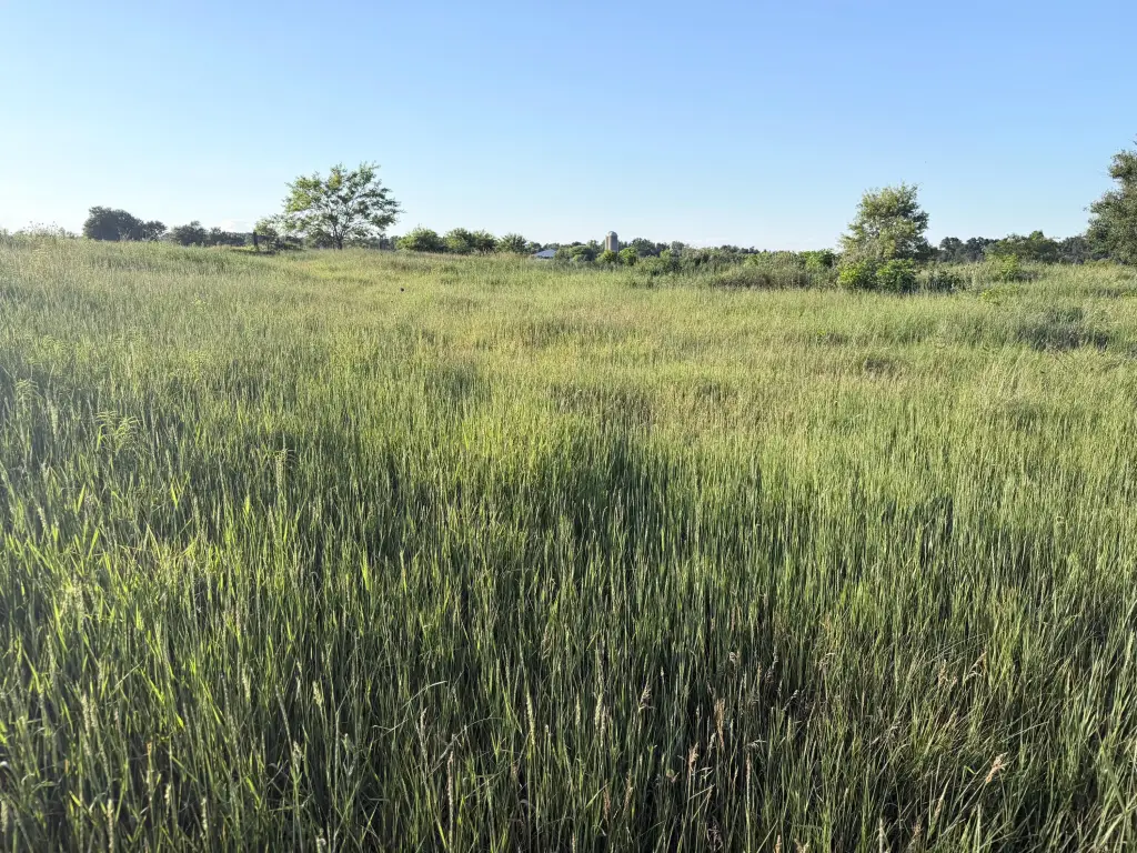 Picture 22