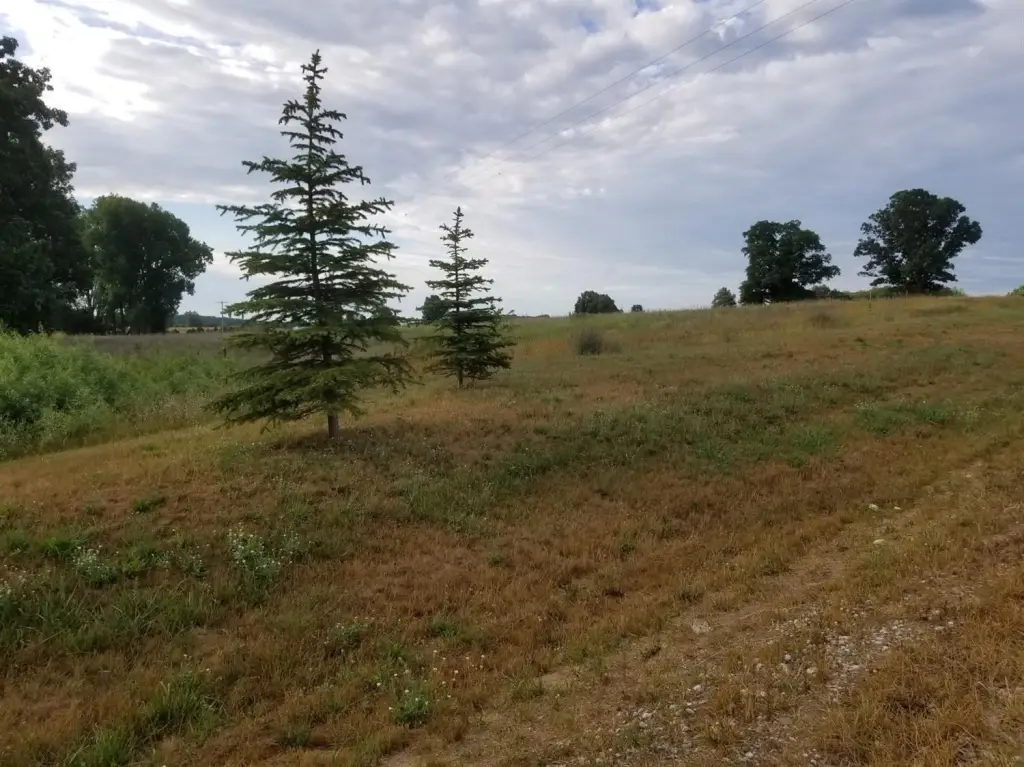 Picture 16