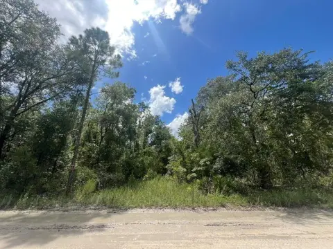 Acreage Near Three Florida Rivers