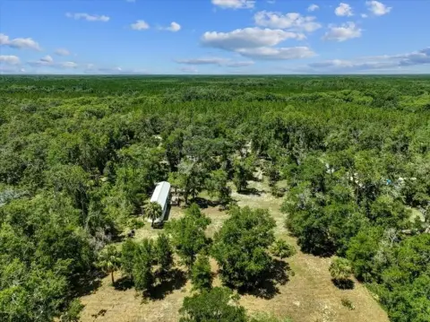 Steinhatchee, Florida 8-Acre Paradise