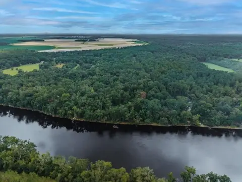 Suwannee Riverfront Acreage in O'Brien