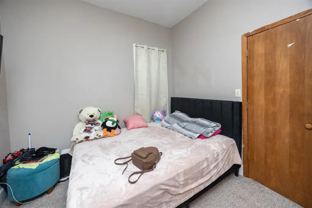 Picture 5