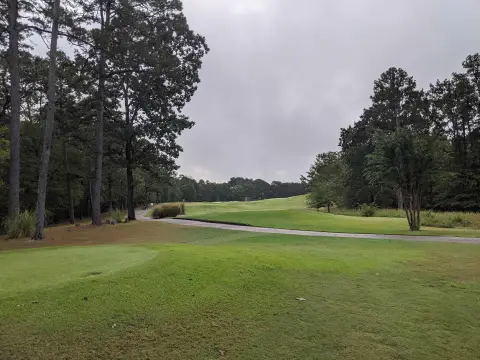 Golf Course Lot in Diamante