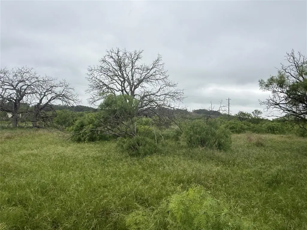 Picture 16