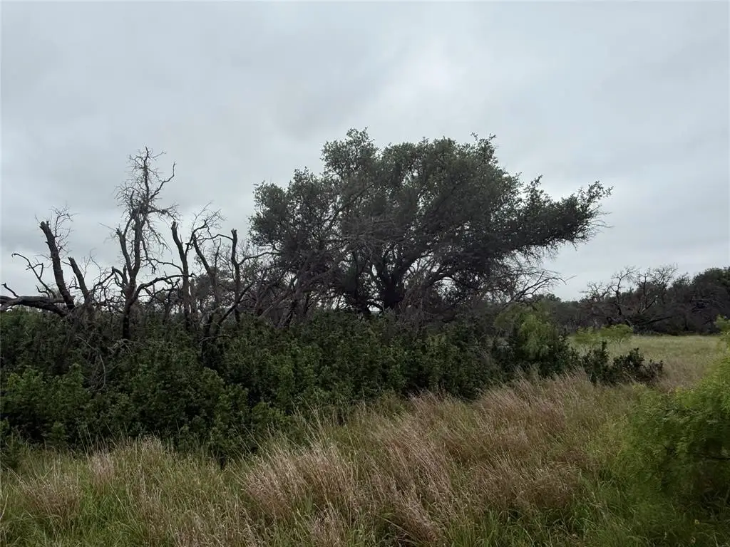 Picture 15