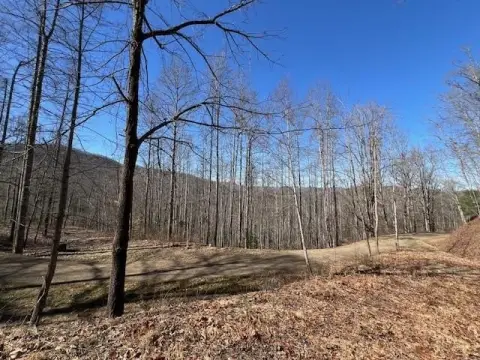 Mountainside Lot with Communal Spaces