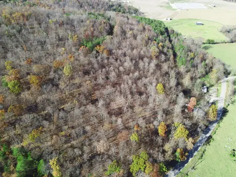 Kentucky Land with Rolling Hills