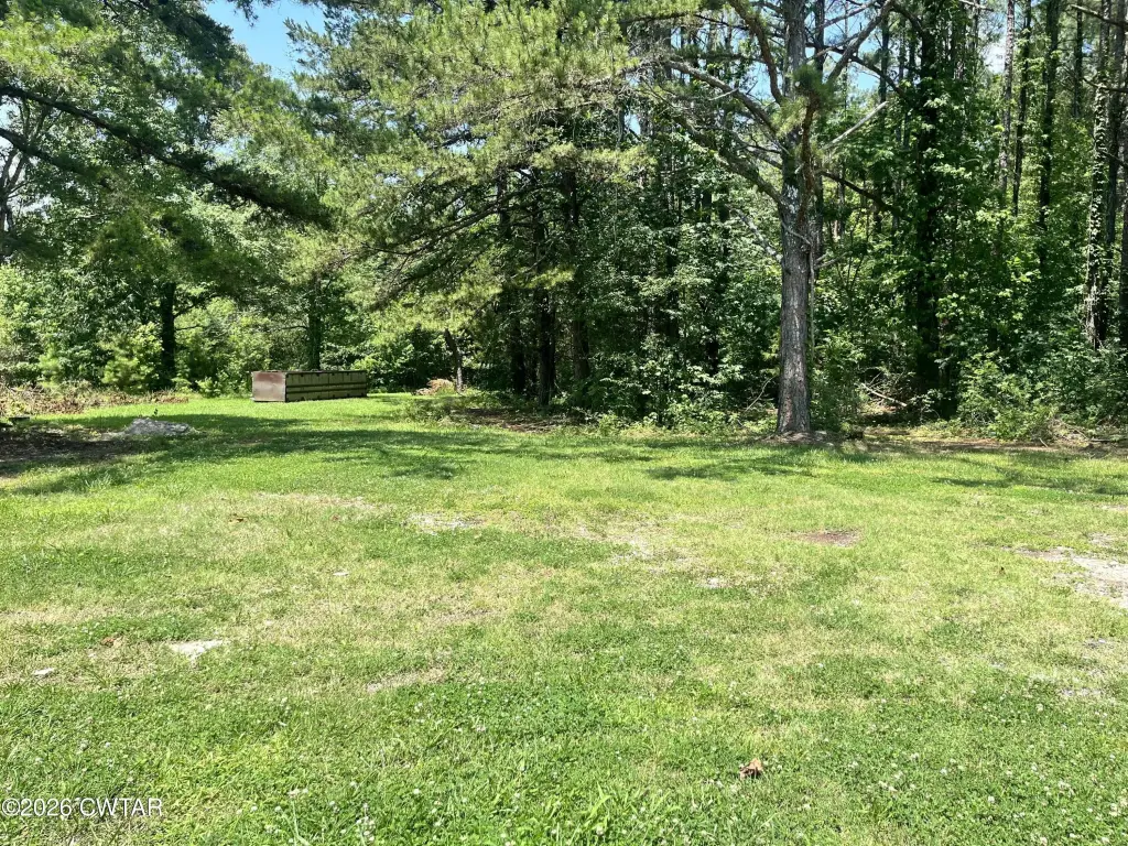 Picture 21