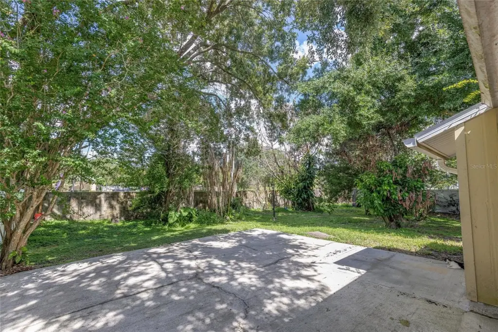 Picture 20