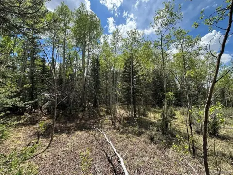 Como, CO Unimproved Mountain Land