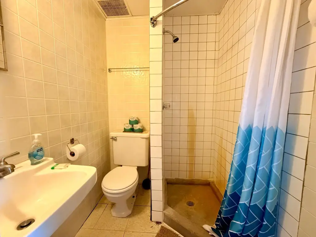 Picture 41