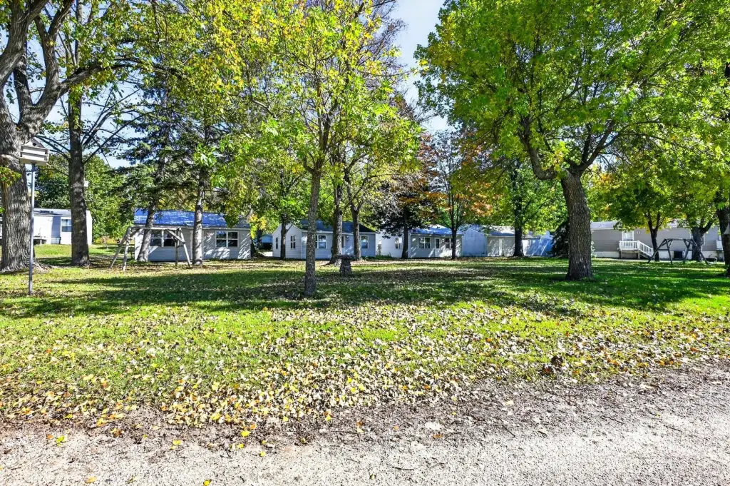 Picture 5