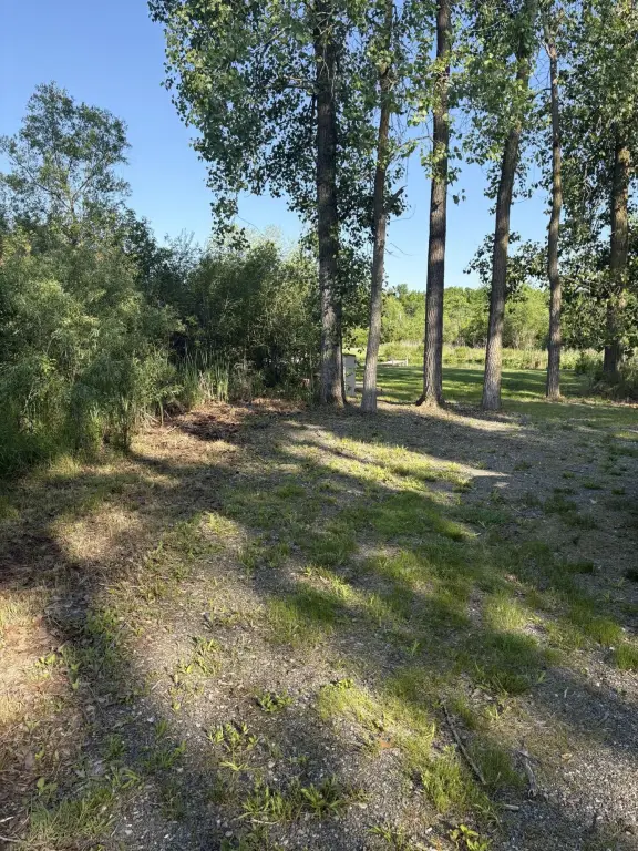 Picture 17