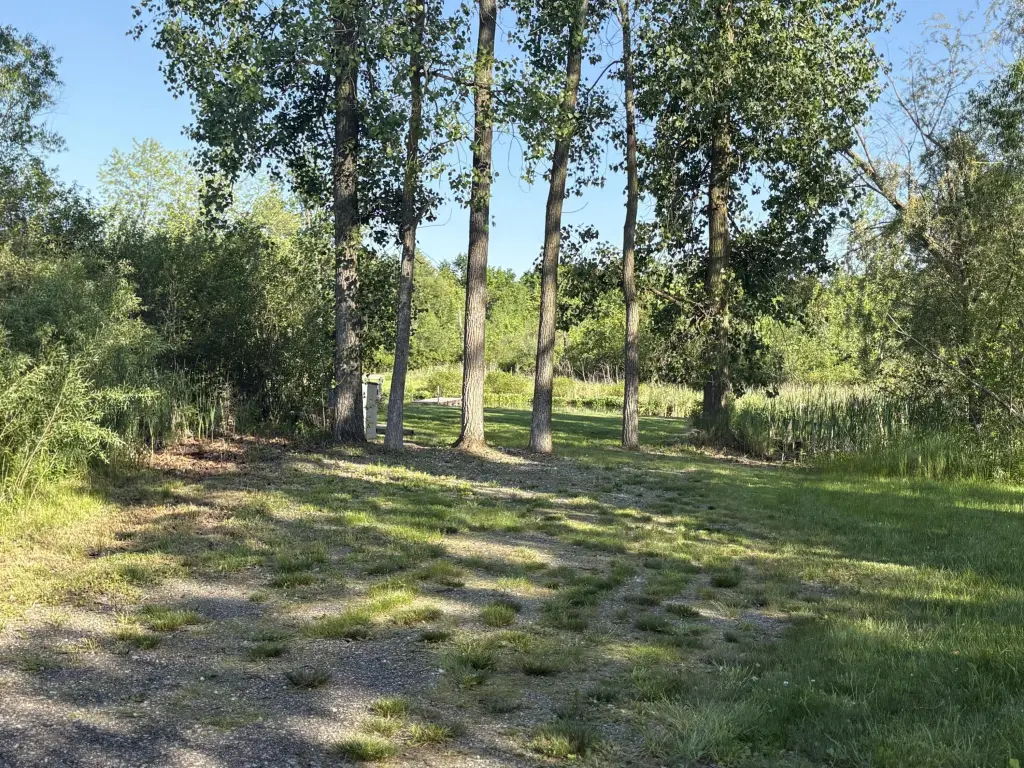 Picture 20