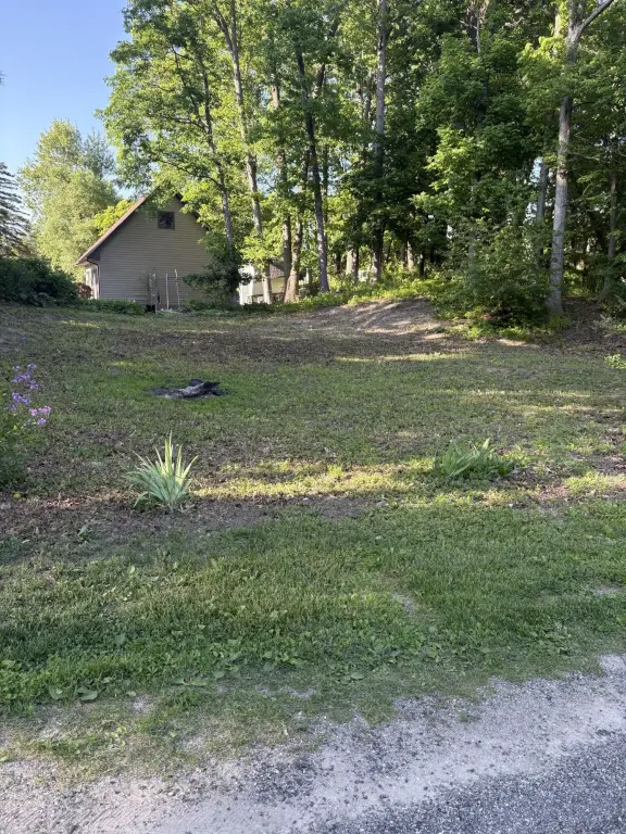 Picture 6