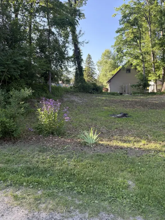 Picture 5