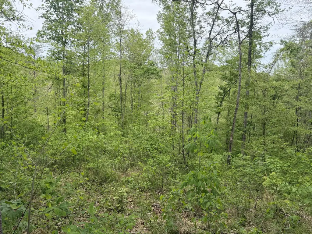 Picture 6