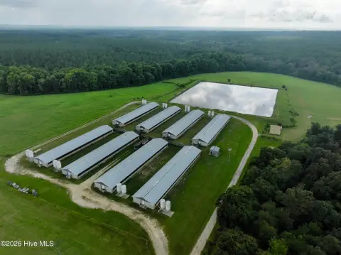 Hog Farm with Eight Barns