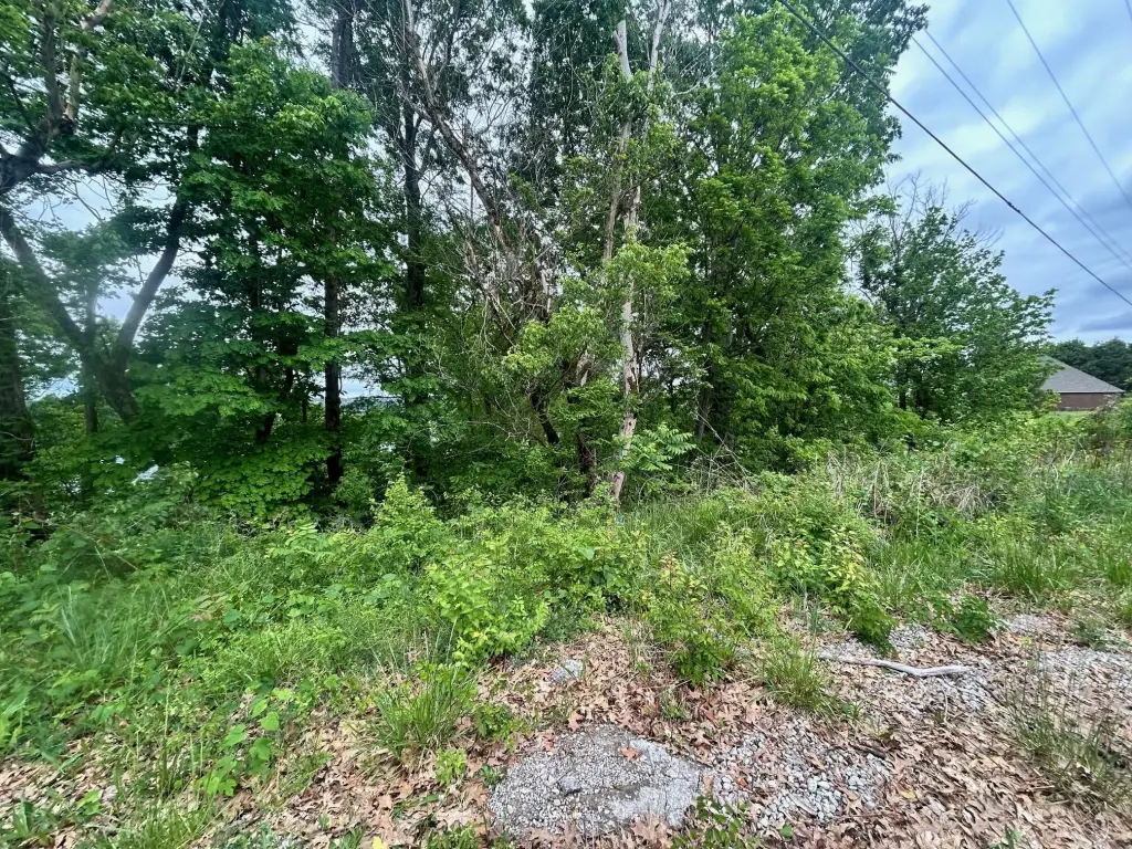 Picture 6