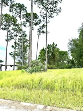 Vacant Lot in Revitalization Area