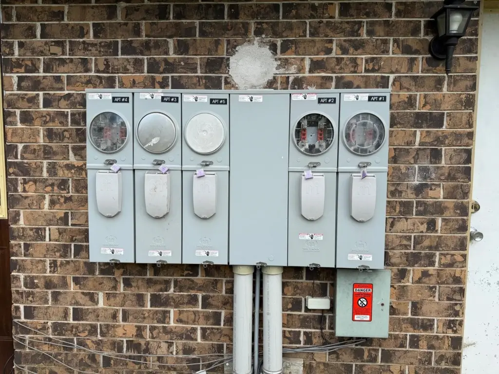 Picture 8
