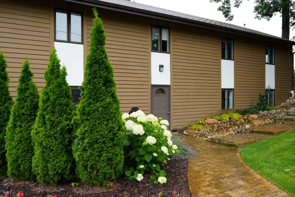 Picture 8