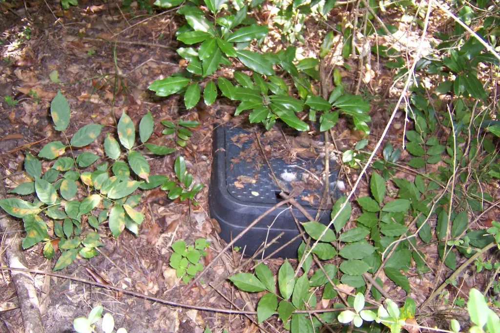 Picture 6