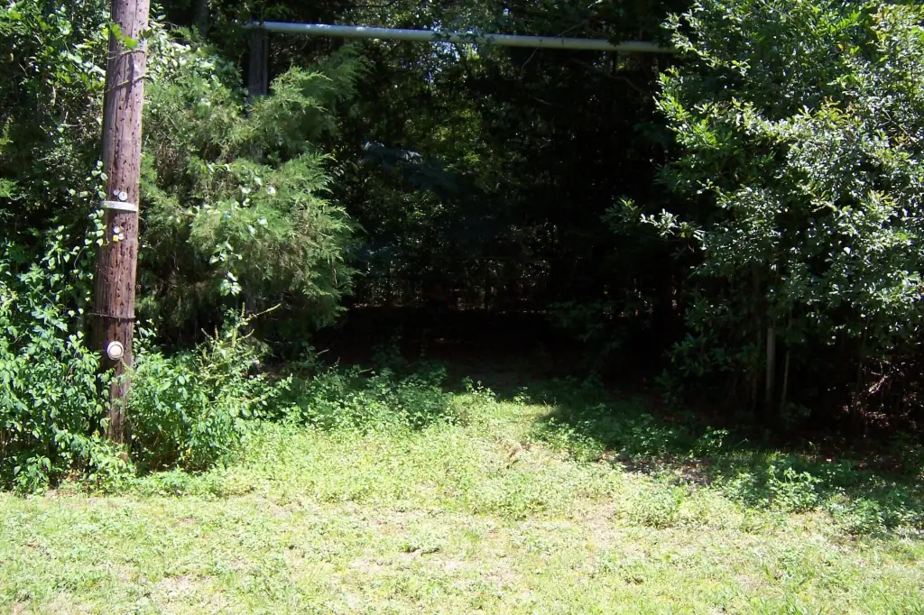 Picture 5