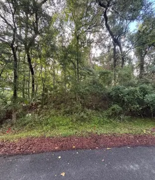 Old Town Homesite Near Suwannee
